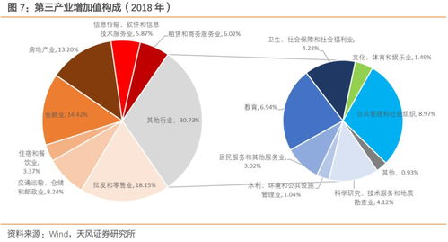 就地過年 一道復雜的一季度GDP數學題——以信息技術服務業為典型案例